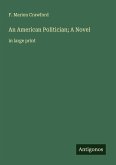 An American Politician; A Novel