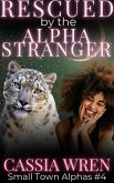 Rescued by the Alpha Stranger (Small Town Alphas, #4) (eBook, ePUB) Rescued by the Alpha Stranger (Small Town Alphas, #4) (eBook, ePUB)