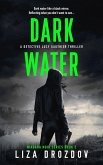Dark Water (Niagara Noir, #2) (eBook, ePUB)