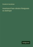Aventures d'une colonie d'émigrants en Amérique