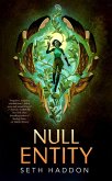 Null Entity (eBook, ePUB)