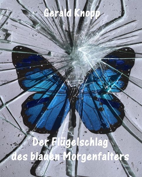 Der Flügelschlag des blauen Morgenfalters (eBook, ePUB)