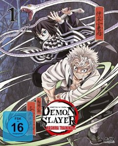 Cover Demon Slayer: Kimetsu no Yaiba - Hashira Training Arc Vol. 1