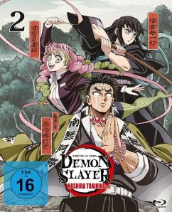 Cover Demon Slayer: Kimetsu no Yaiba - Hashira Training Arc Vol. 2