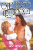 One Perfect Afternoon (eBook, ePUB) One Perfect Afternoon (eBook, ePUB)