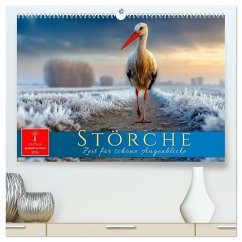 Störche - Zeit für schöne Augenblicke (hochwertiger Premium Wandkalender 2026 DIN A2 quer), Kunstdruck in Hochglanz Störche - Zeit für schöne Augenblicke (hochwertiger Premium Wandkalender 2026 DIN A2 quer), Kunstdruck in Hochglanz