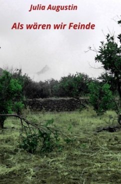 Cover Als wären wir Feinde