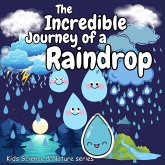 Incredible Journey of a Raindrop Incredible Journey of a Raindrop