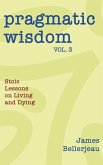 Pragmatic Wisdom Vol. 3