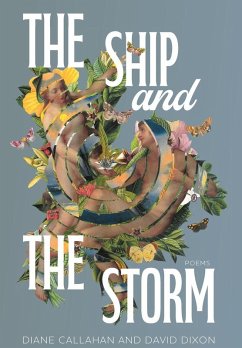 Cover The Ship and the Storm