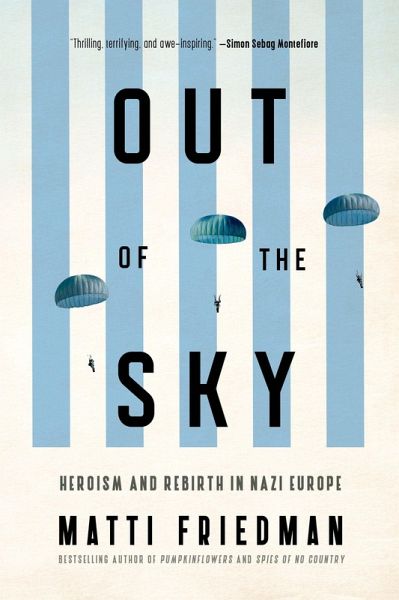 Out of the Sky Out of the Sky