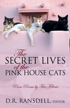 Cover The Secret Lives of the Pink House Cats
