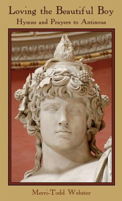 Loving the Beautiful Boy - Webster, Merri-Todd Loving the Beautiful Boy - Webster, Merri-Todd