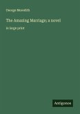 The Amazing Marriage; a novel