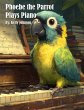 Phoebe the Parrot Plays Piano - Bild 1