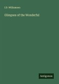 Glimpses of the Wonderful
