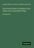 The Poetical Works of Addison; Gay's Fables, And, Somerville's Chase