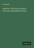 Gazetteer of the North-Western Provinces, Bulandshahr District