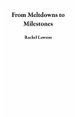 From Meltdowns to Milestones (eBook, ePUB) From Meltdowns to Milestones (eBook, ePUB)