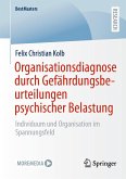 Organisationsdiagnose durch Gefährdungsbeurteilungen psychischer Belastung (eBook, PDF)