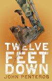Twelve Feet Down (The Twelve Feet Series, #1) (eBook, ePUB) Twelve Feet Down (The Twelve Feet Series, #1) (eBook, ePUB)