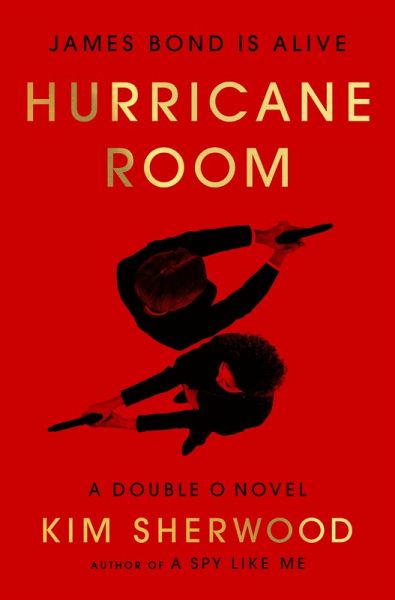 Hurricane Room (eBook, ePUB)
