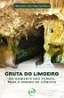 Gruta do limoeiro (eBook, ePUB) - Bild 1