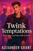 Twink Temptations: Young, Lean, and Impossible to Resist (eBook, ePUB)