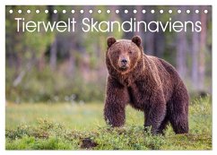 Tierwelt Skandinaviens (Tischkalender 2026 DIN A5 quer), CALVENDO Monatskalender