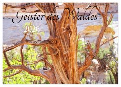 Cover Geisterbäume (Wandkalender 2026 DIN A3 quer), CALVENDO Monatskalender