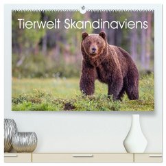 Tierwelt Skandinaviens (hochwertiger Premium Wandkalender 2026 DIN A2 quer), Kunstdruck in Hochglanz