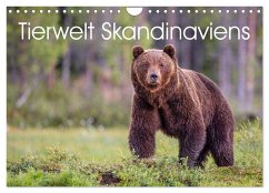 Tierwelt Skandinaviens (Wandkalender 2026 DIN A4 quer), CALVENDO Monatskalender