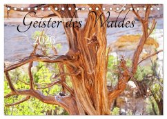Cover Geisterbäume (Tischkalender 2026 DIN A5 quer), CALVENDO Monatskalender