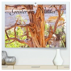 Cover Geisterbäume (hochwertiger Premium Wandkalender 2026 DIN A2 quer), Kunstdruck in Hochglanz