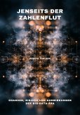Jenseits der Zahlenflut (eBook, ePUB)