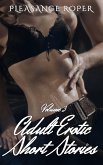 Adult Erotic Short Stories - Volume 3 (eBook, ePUB)