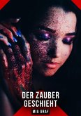 Der Zauber geschieht (eBook, ePUB)