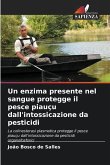 Un enzima presente nel sangue protegge il pesce piauçu dall'intossicazione da pesticidi Un enzima presente nel sangue protegge il pesce piauçu dall'intossicazione da pesticidi
