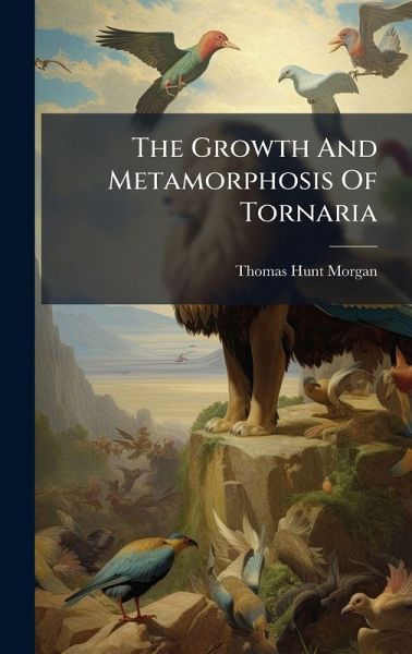 The Growth And Metamorphosis Of Tornaria The Growth And Metamorphosis Of Tornaria