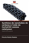 Synthèse de nanotubes de carbone à l'aide de Co/CaCO3 comme catalyseur