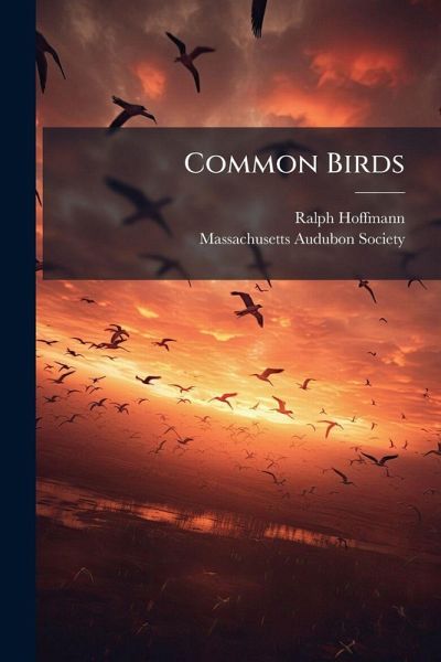 Common Birds