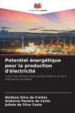 Potentiel énergétique pour la production d'électricité Potentiel énergétique pour la production d'électricité