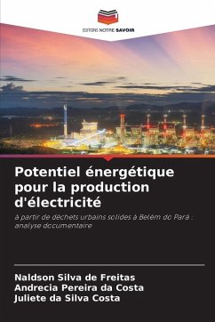 Cover Potentiel énergétique pour la production d'électricité