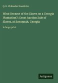 What Became of the Slaves on a Georgia Plantation?; Great Auction Sale of Slaves, at Savannah, Georgia What Became of the Slaves on a Georgia Plantation?; Great Auction Sale of Slaves, at Savannah, Georgia