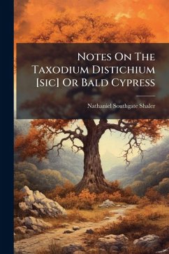 Cover Notes On The Taxodium Distichium [sic] Or Bald Cypress
