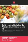Cultivo de plântulas de Arecanut(Areca catechu L)