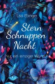Sternschnuppennacht
