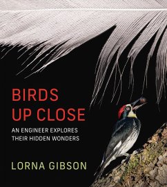 Cover Birds Up Close