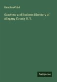 Gazetteer and Business Directory of Allegany County N. Y.