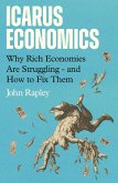 Icarus Economics (eBook, ePUB)